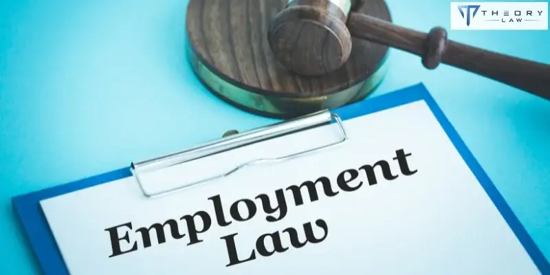 best san francisco employment lawyer