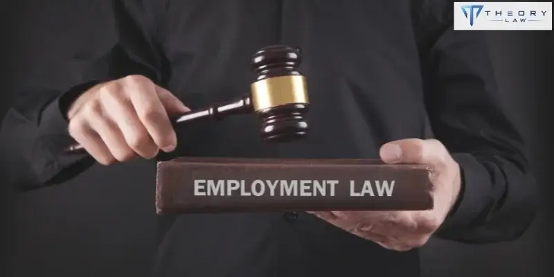 employment lawyer in san diego